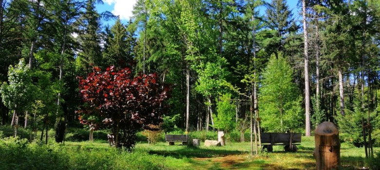 Waldfriedhof in der Eickhofer Heide