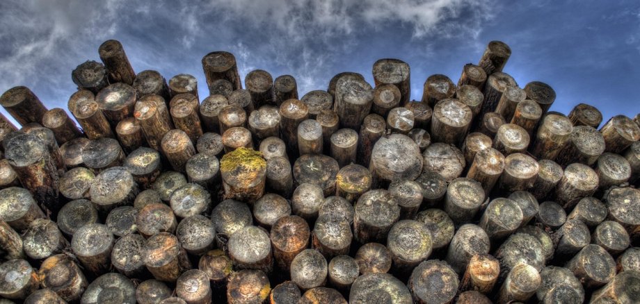 Holzpolter Holzpolter