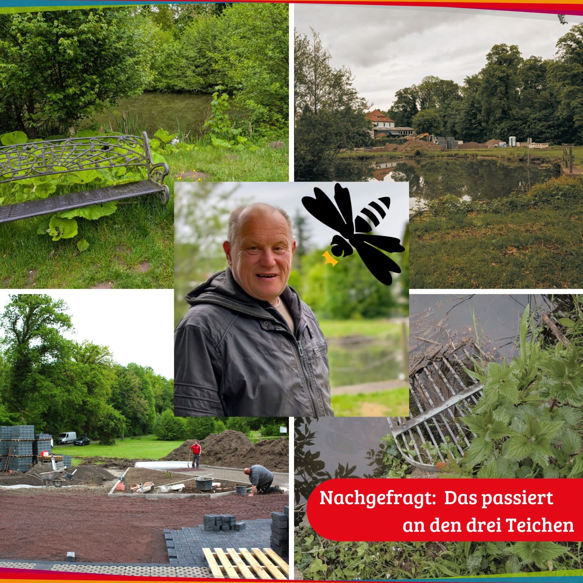 Collage aus Bildern im Drei Teiche Park