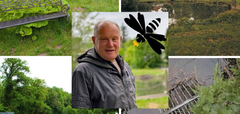 Quadrat - 28 Collage aus Bildern im Drei Teiche Park