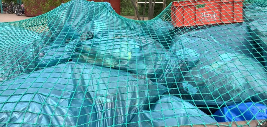Ein mit blauen Müllsäcken gefüllter Container