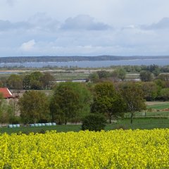 Winzlar Blick vom Haarberg