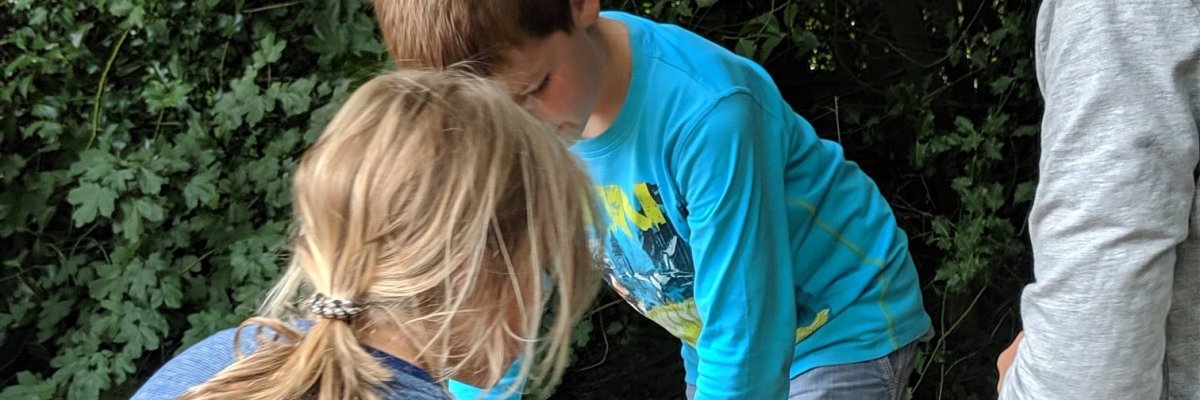 Kinder handwerken mit einer Säge. Sie sind draußen und die Sonne scheint.