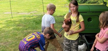 Vier Kinder spielen auf einer Sommerwiese im Sonnenschein. Ein Mädchen hält dabei ein Huhn auf dem Arm.