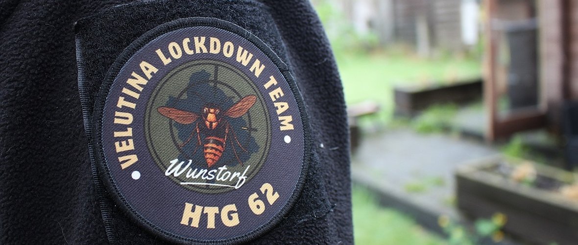 Verein gegründet: Das Velutina Lockdown Team will sich der Bekämpfung der Asiatischen Hornisse widmen