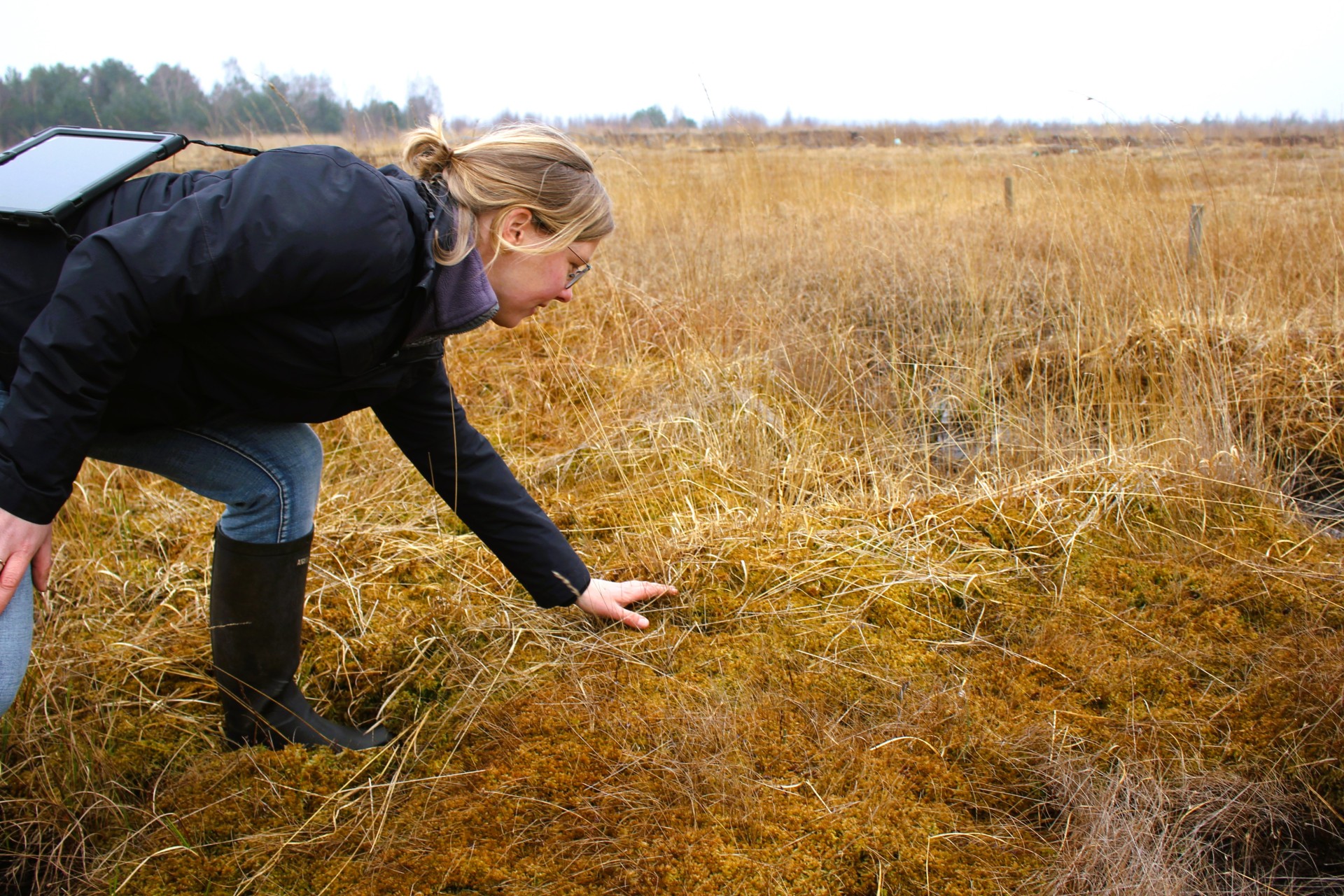 Unwiderstehlich: Auch Corinna Roers streicht gerne sacht über den weichen Teppich, den die Torfmoose bilden. ade