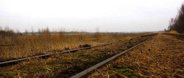 Fußweg: Entlang der Schienen der Moorbahn geht es zum Torfmoos-Versuchsfeld. ade