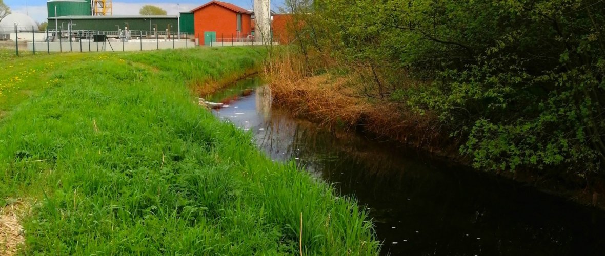 Ungefähr an dieser Stelle muss bis vor 60 Jahren die Große Schleuse für die Regulierung des Wassers im Meerbach gesorgt haben – die womöglich einmal Rehburgs Badeanlage, auf jeden Fall aber eine beliebte Badestelle war. Im Hintergrund ist die Kläranlage zu sehen. ade