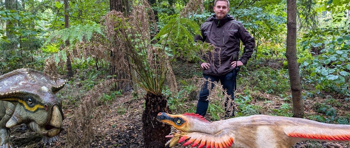 Mehr Authentizität: Im Dinopark,deswegen hat Fritz Stoepke damit begonnen, Pflanzen der Urzeit zu setzen - wie den australischen Baumfarn