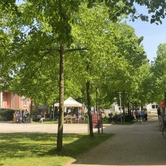 Raderlebnistag Bad Rehburg Kurpark